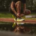 Prévention des blessures en course à pied